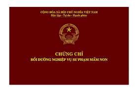 Chứng chỉ Nghiệp vụ sư phạm mầm non