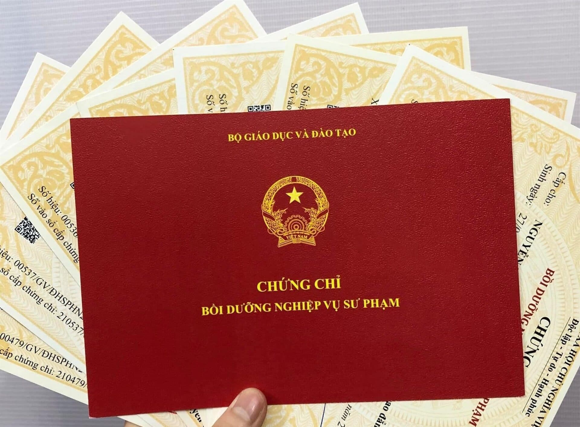 Chứng chỉ Nghiệp vụ Sư phạm dành cho người có bằng cử nhân ngoại ngữ – 2024