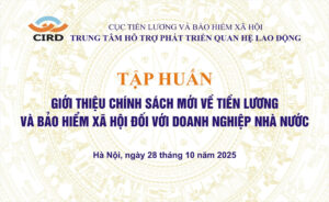 Tập huấn chính sách tiền lương và bảo hiểm xã hội 2025 cho doanh nghiệp nhà nước