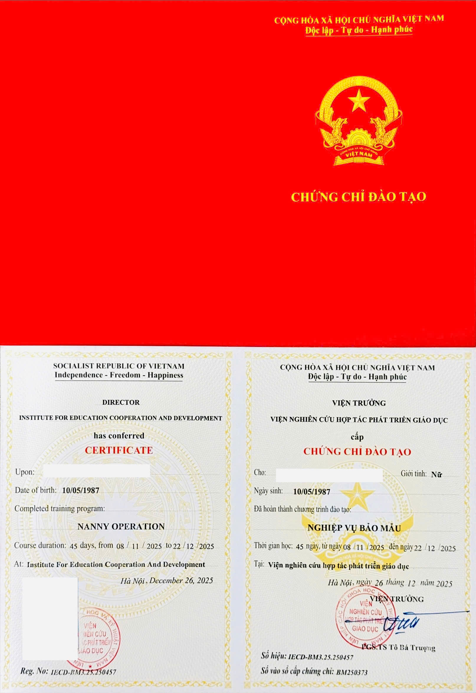 Nghề bảo mẫu 
