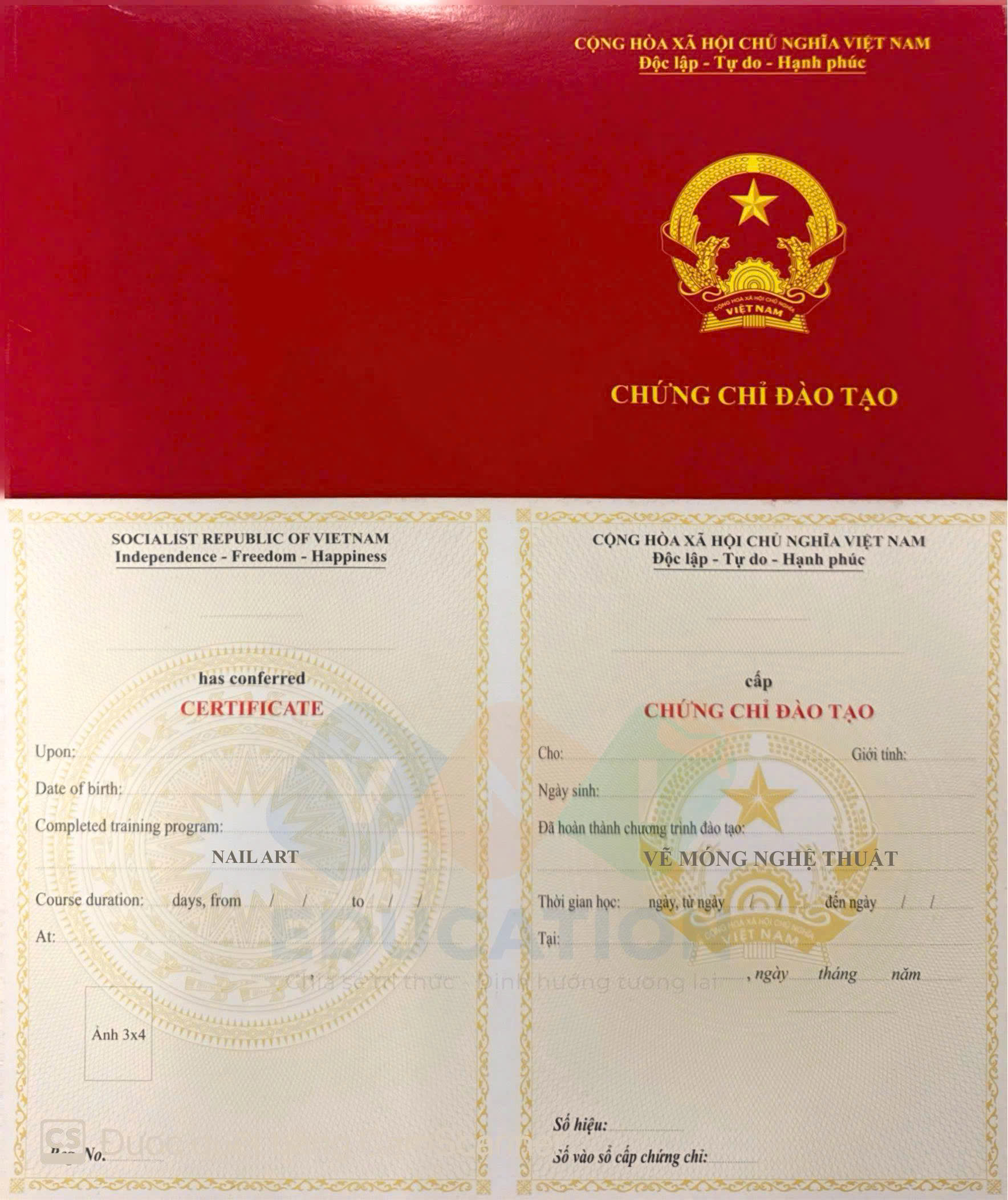 vẽ móng nghệ thuật