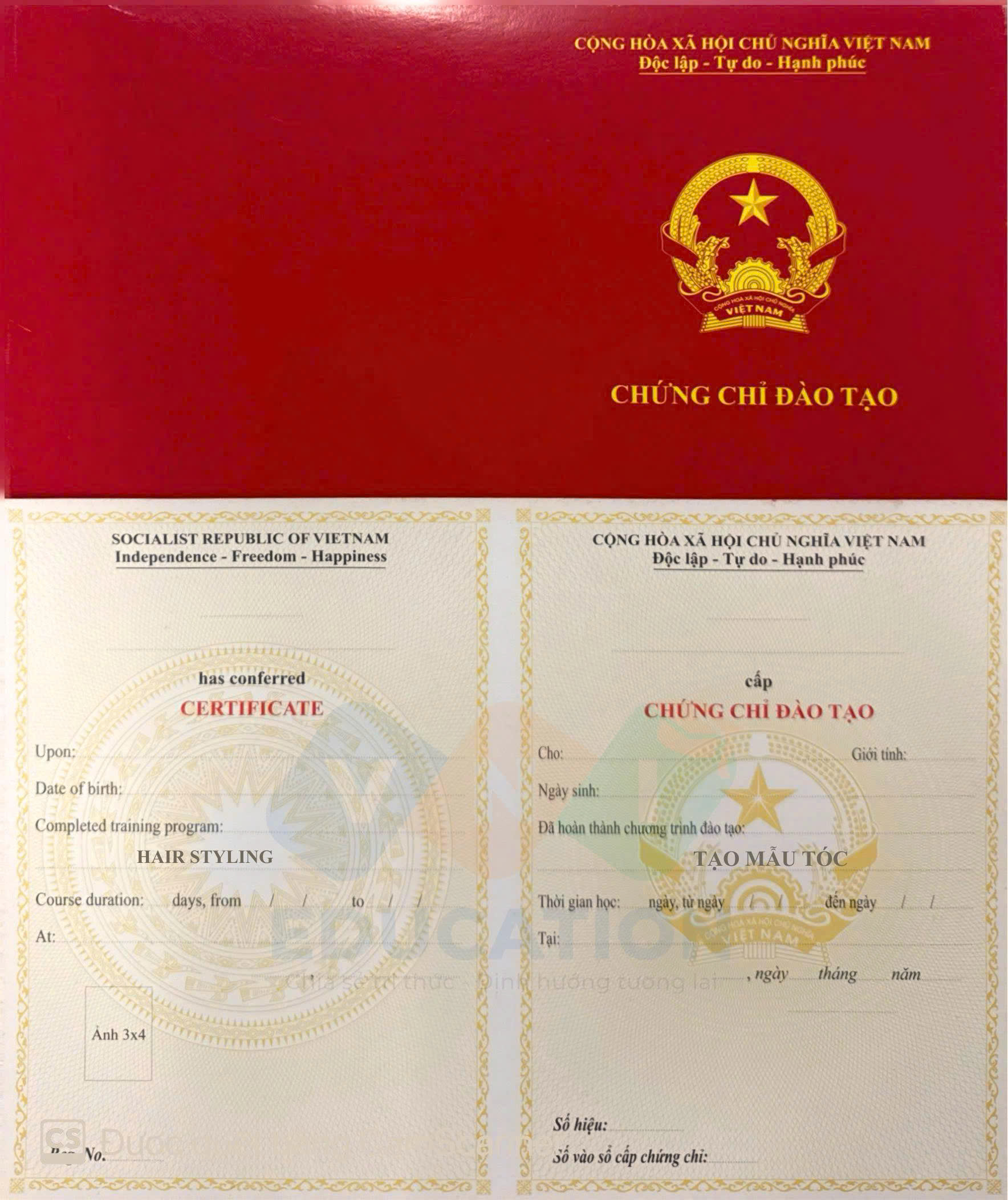 tạo mẫu tóc