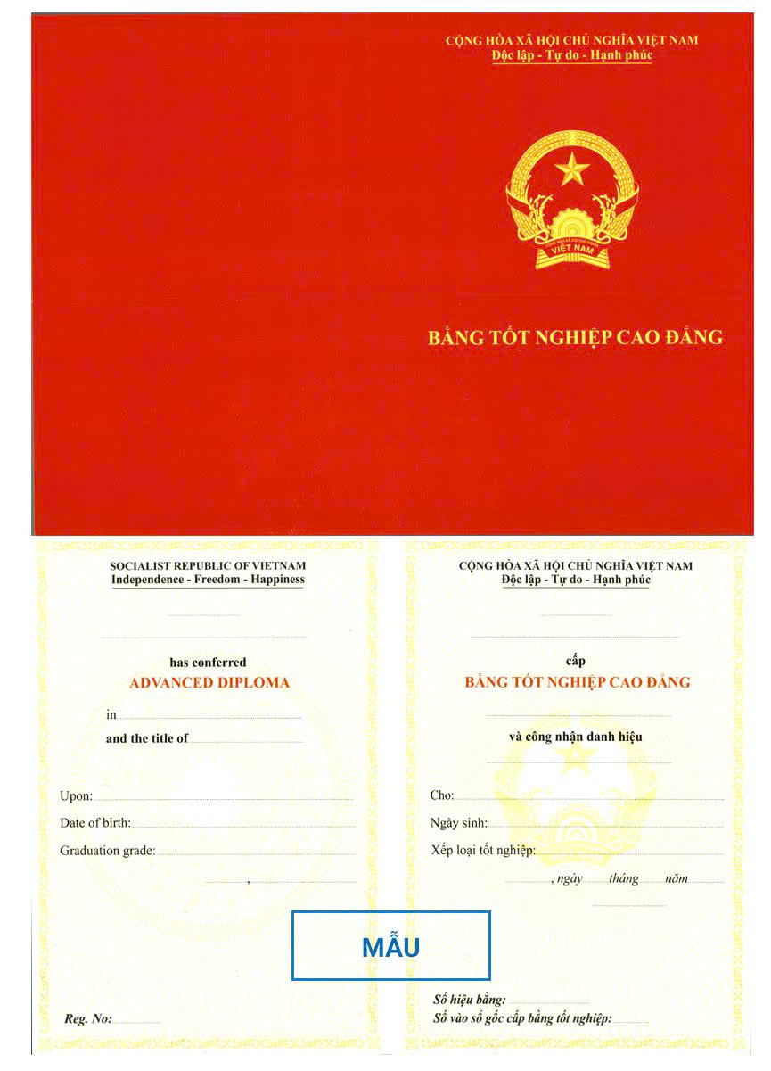 Cao đẳng Tiếp viên hàng không